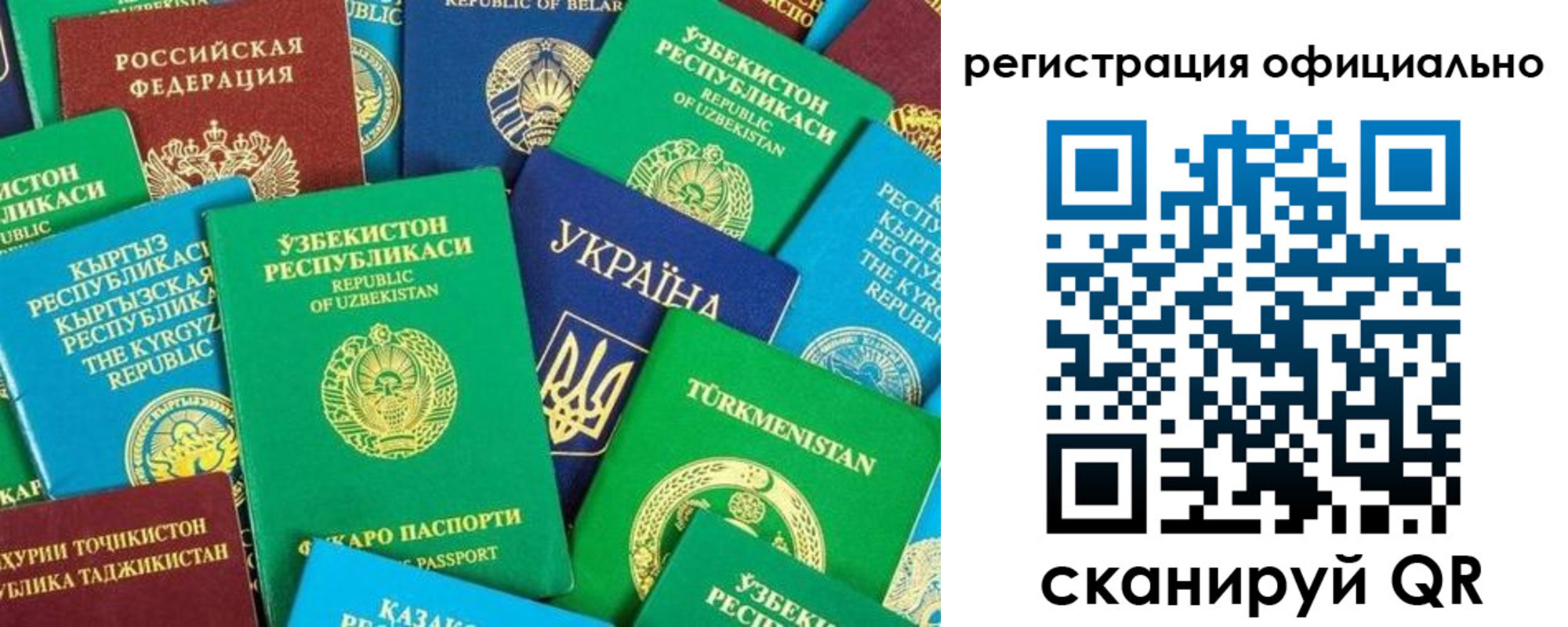 прописка поиск в Ногинске