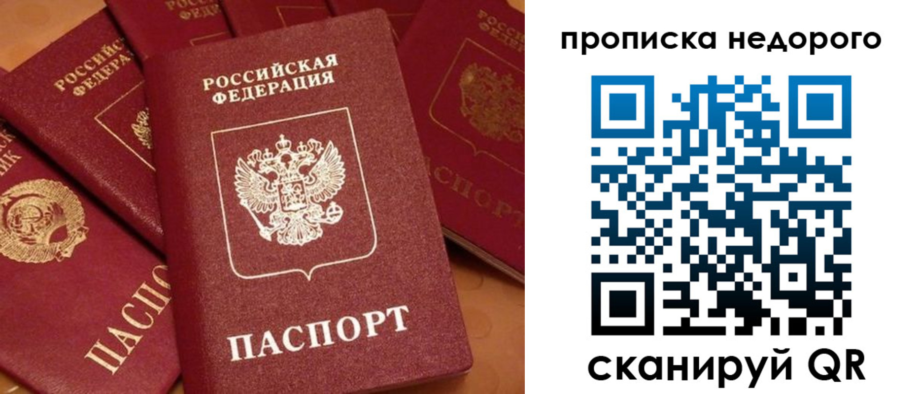 временная прописка в Ногинске